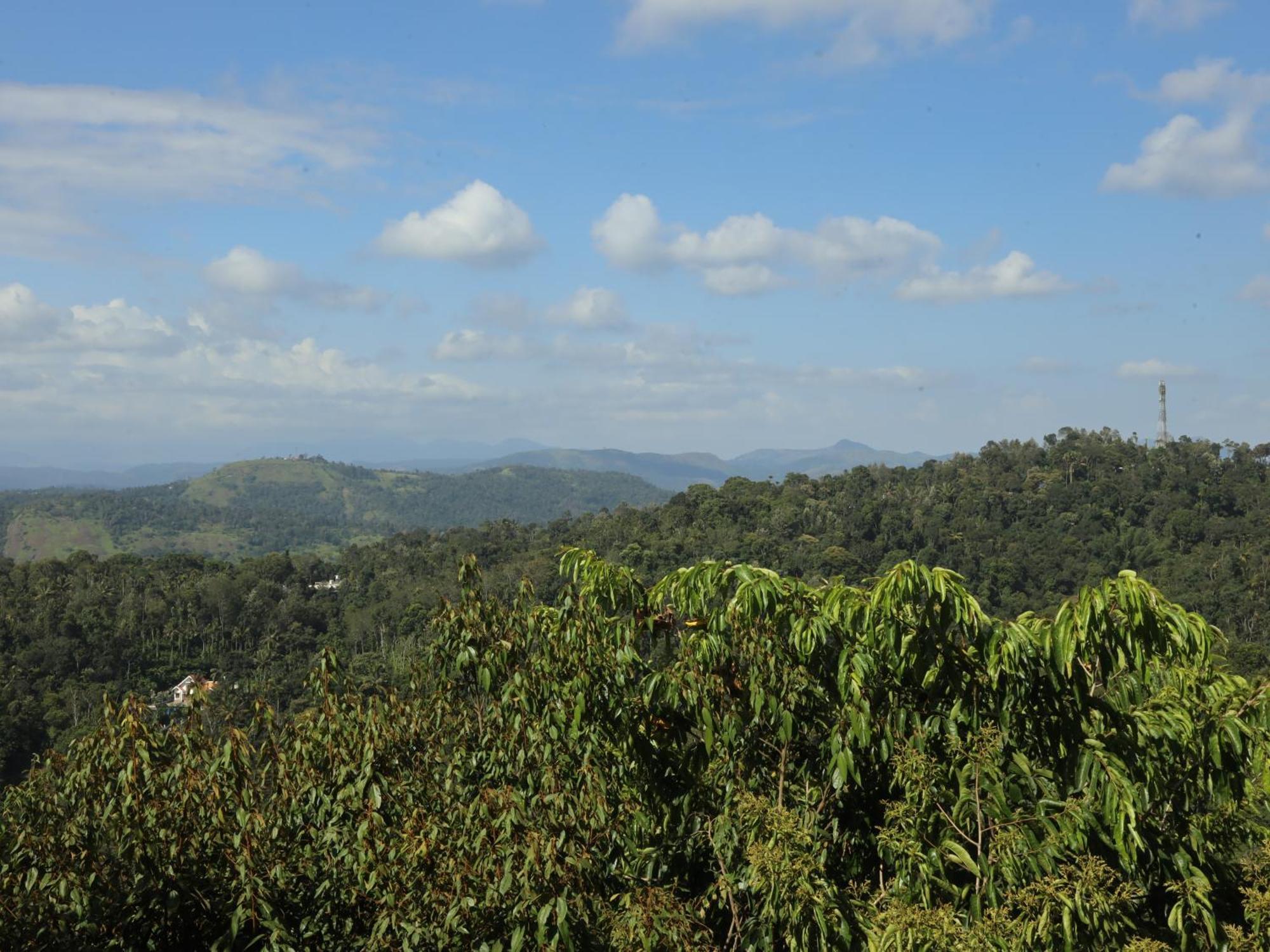 Ashramam Health Resort Kattappana Buitenkant foto
