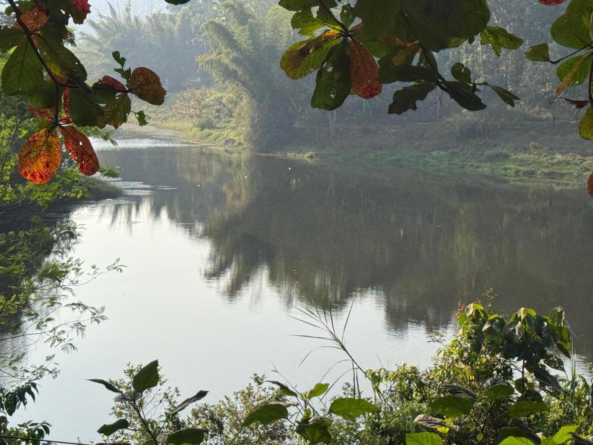 Ashramam Health Resort Kattappana Buitenkant foto